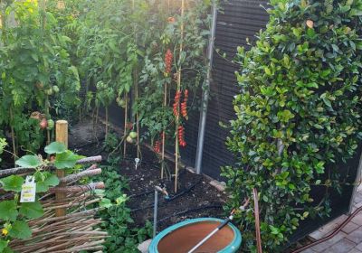 Samle selv burger i Glashuset